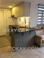 HK$20K 0SF Princess Mansion For Rent