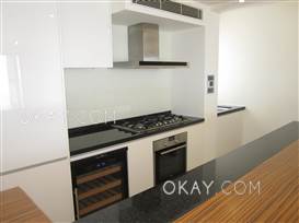 HK$58K 0SF Aqua 33 For Rent